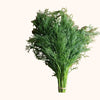 Herbe aromatique